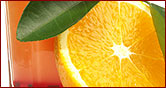Cocktailrezepte
