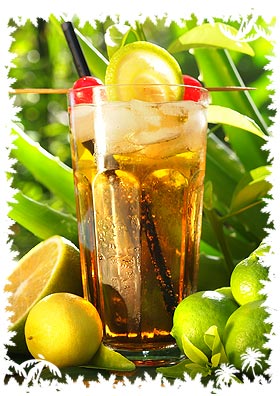 Tropical Long Island